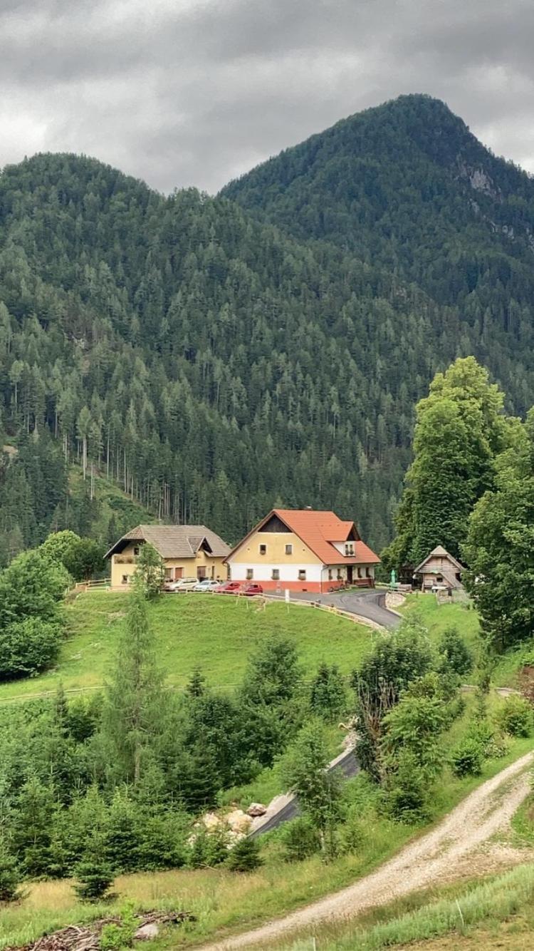 Апартаменты Tourist Farm Gradisnik Солчава Экстерьер фото