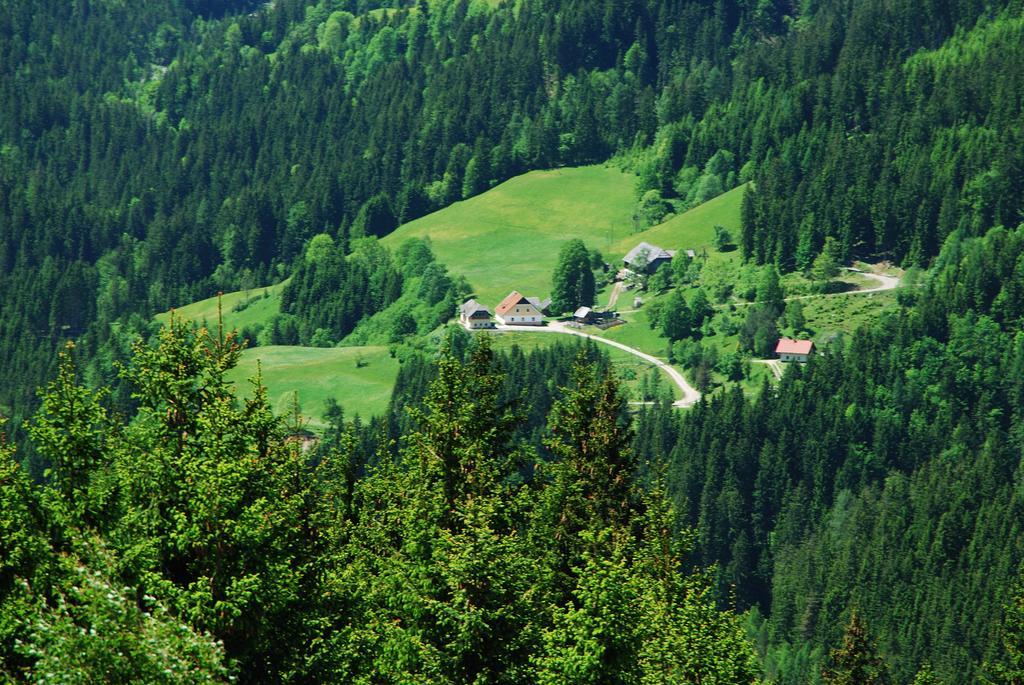 Апартаменты Tourist Farm Gradisnik Солчава Экстерьер фото